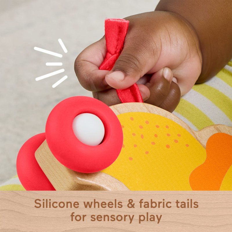 LION ET ZEBRE POUSSER FP