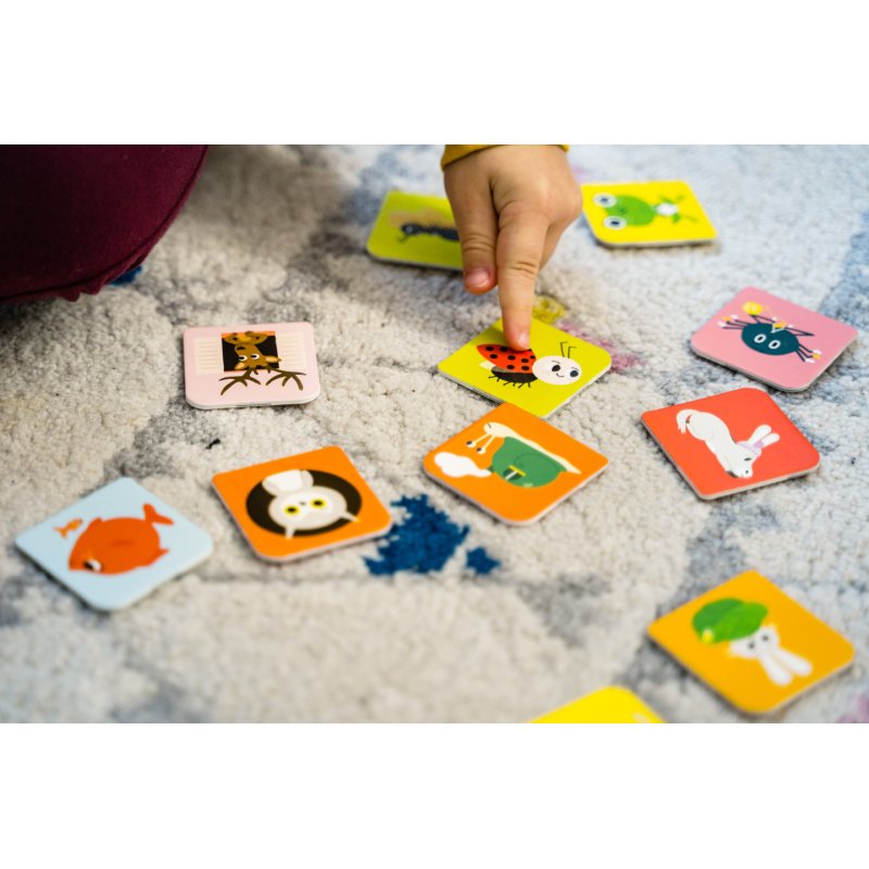 Nathan Coucou les animaux