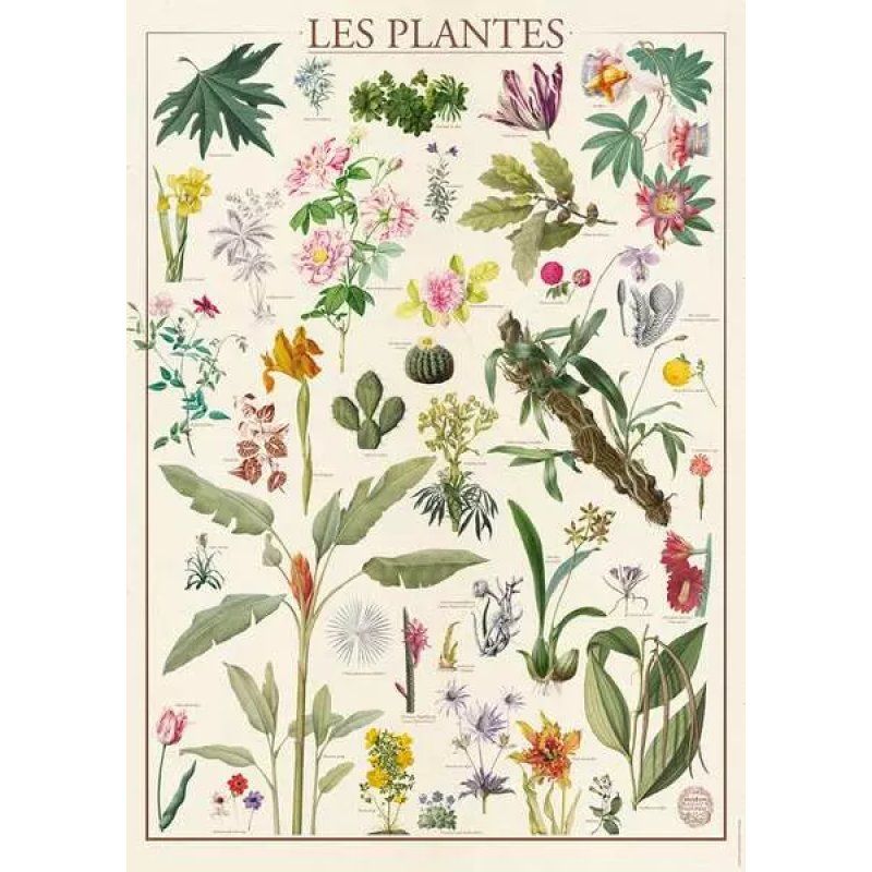 Nathan puzzle 1500 p - Les plantes / Muséum national d'Histoire naturelle