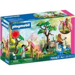 Playmobil 72067 toy playset