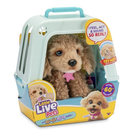 Little Live Pets - My Really Real Puppy - Curley (26612)