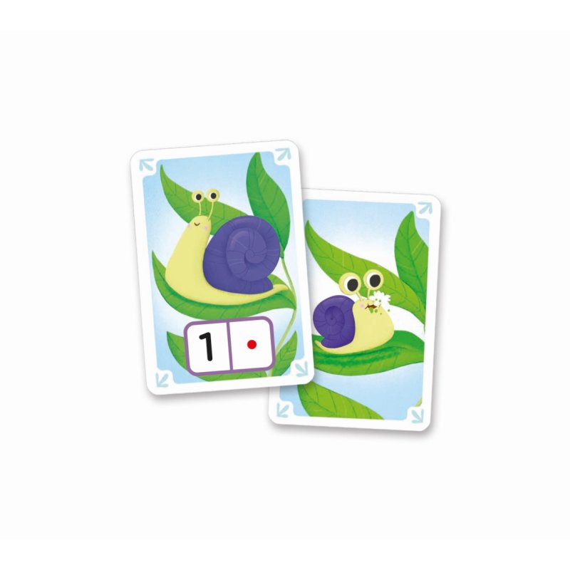 CLM LES ANIMAUX - EDUCARTES