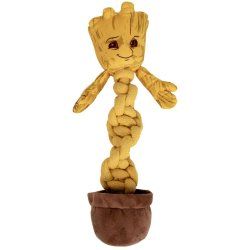 ANNEAU DENTITION CHIEN GROOT