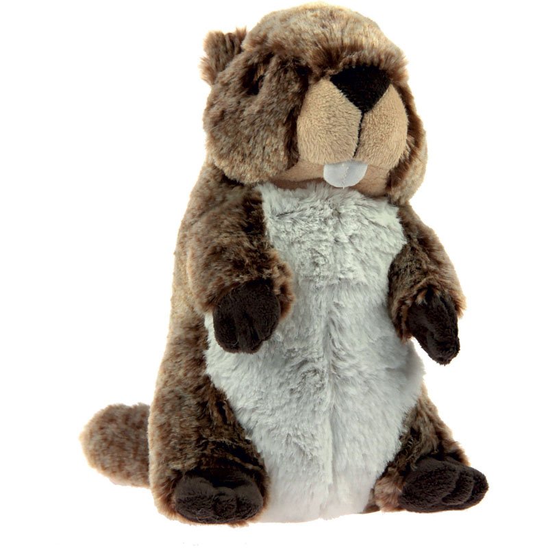 PEL 24CM MARMOTTE AVEC VOIX
