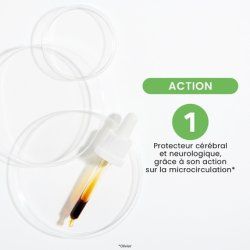 Santarome Organic Olive Oil Gemmotherapy Bud Macerate for Memory