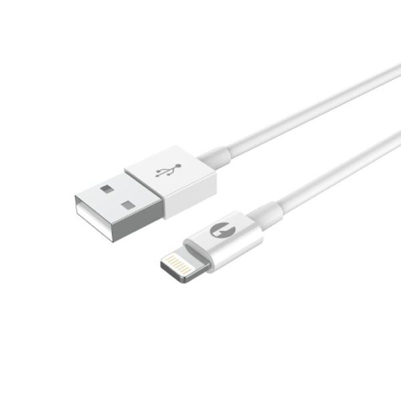Câble Usb à MFI Lightning - Blanc - 2m *