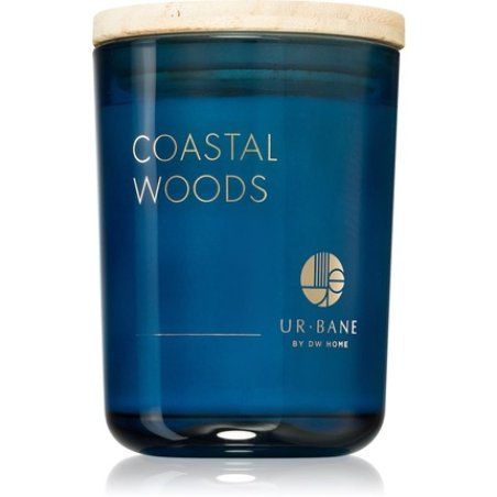 Dw Home Coastal Woods Scented Candle 215g