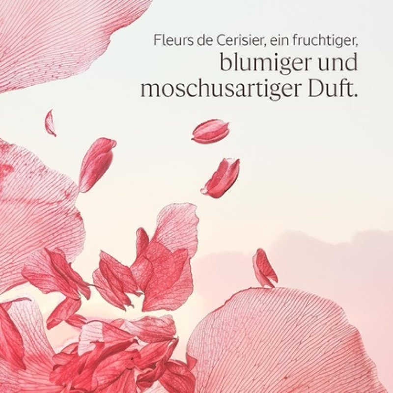 L'Occitane Cherry Blossom Lip Balm Made in France