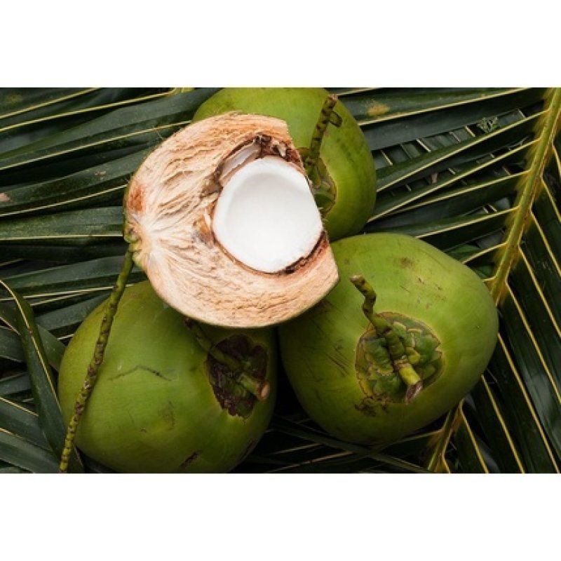 Nook Purifying Cleaning Shampoo Nechel Chrome Cobalto 500ml