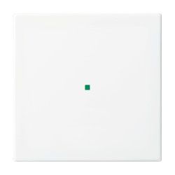 Busch-Jaeger 83140/1-101 not categorized