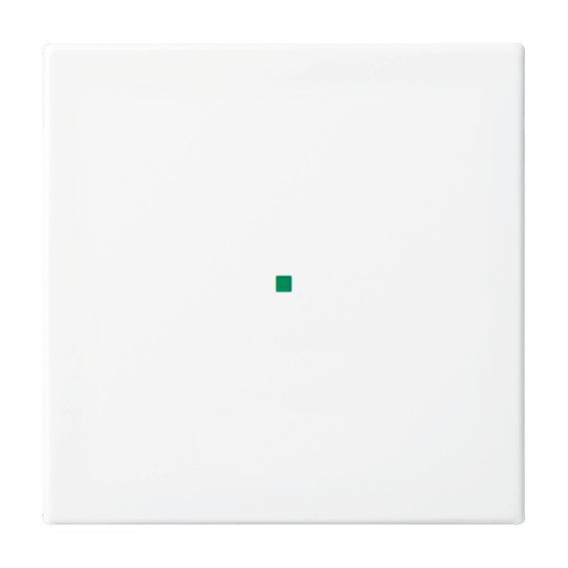 Busch-Jaeger 83140/1-101 not categorized