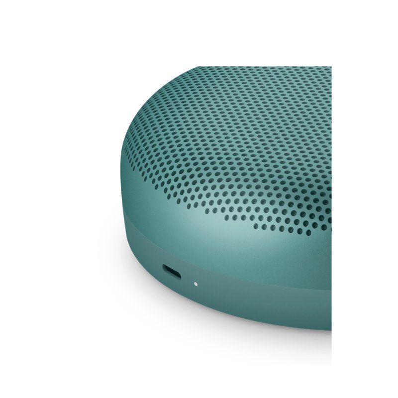 Bang & Olufsen - Beosound A1 3rd Gen