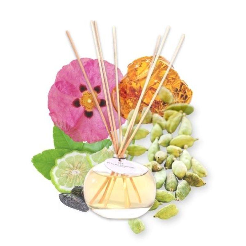 Plantes & Parfums De Provence Absolute Tonka diffuseur aromatique Vase Verre, Rotin Jaune