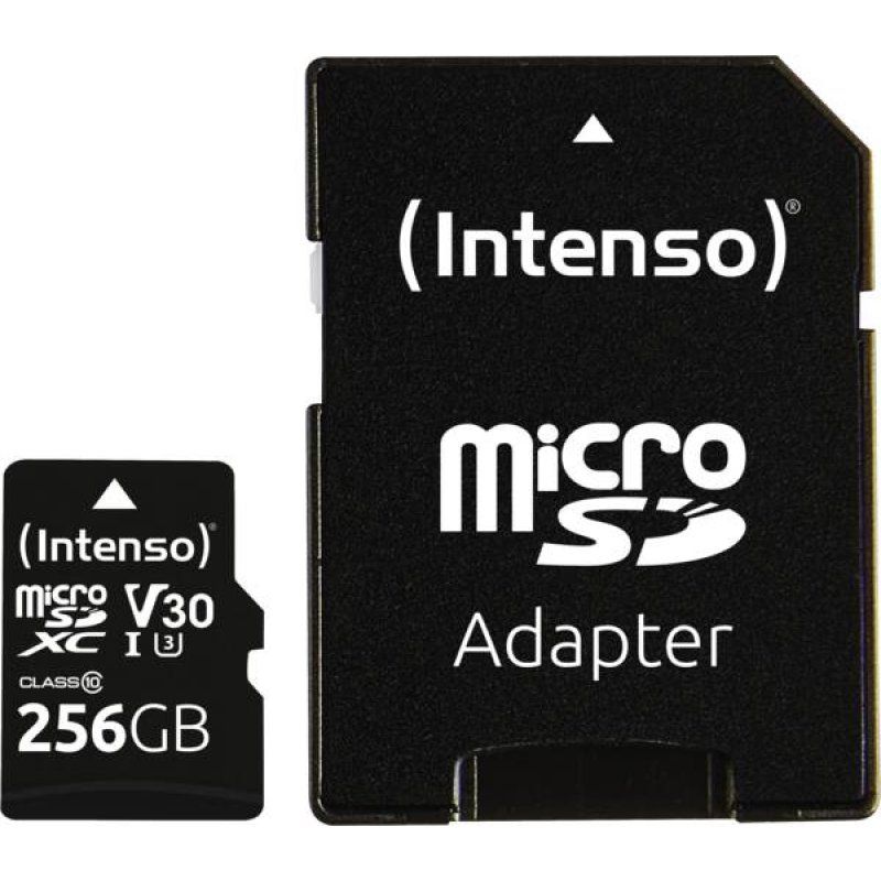 Intenso 3433492 mémoire flash 256 Go MicroSDXC UHS-I Classe 10