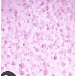 Bomb Cosmetic Buddy Buffer Handmade Soap-Soaked Sponge Enriched with Pure Ingredients