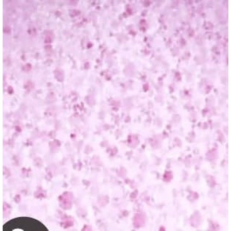 Bomb Cosmetic Buddy Buffer Handmade Soap-Soaked Sponge Enriched with Pure Ingredients