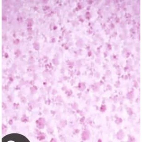 Bomb Cosmetic Buddy Buffer Handmade Soap-Soaked Sponge Enriched with Pure Ingredients