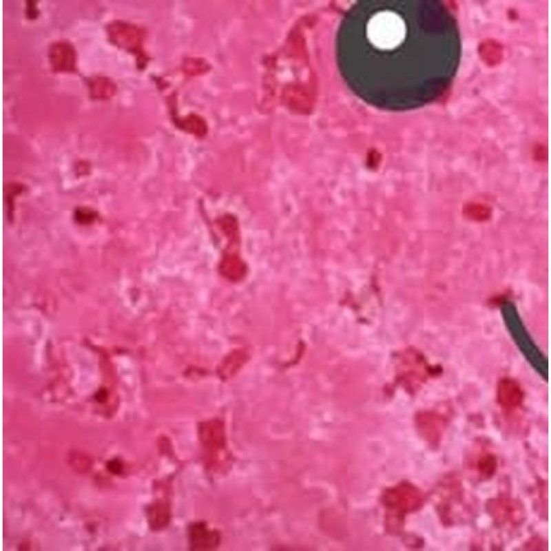 Bomb Cosmetic Buddy Buffer Handmade Soap-Soaked Sponge Enriched with Pure