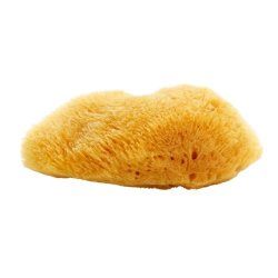 Magnum Caribbean Sea Natural Sponge 1012 Cm