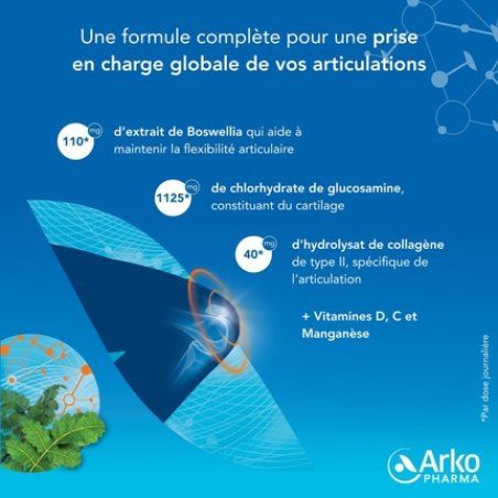 Arkopharma Chondro-Aid 100% Joint Flexibility and Well-Being