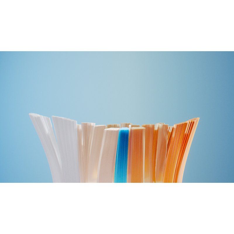 Philips Premium All-in-One HX9093/87 Lot de 2 1 têtes de brosse