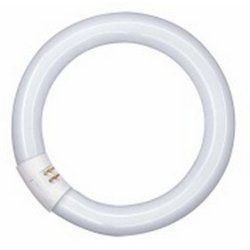 Ringform L 40W/840 C G10Q Neutralweiss T9