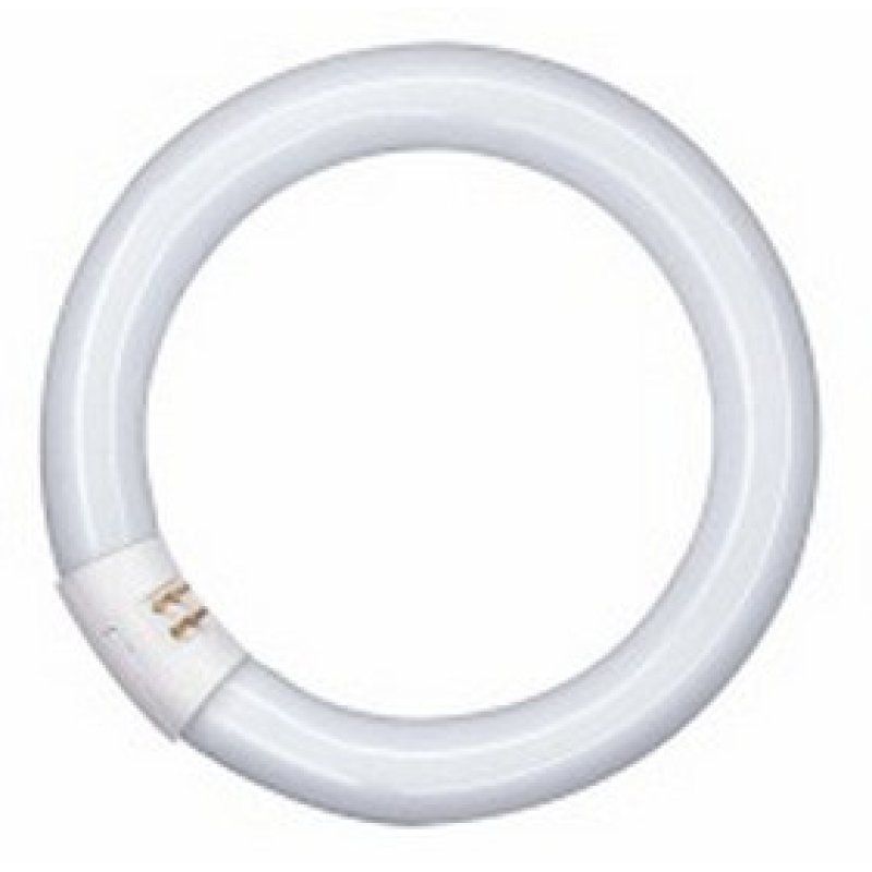 Osram LUMILUX T9 C fluorescent bulb 40 W G10q Cool white