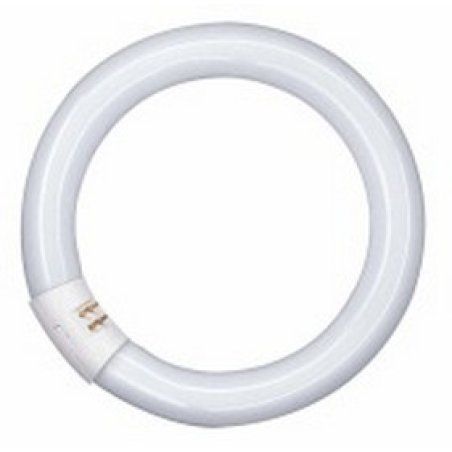 Osram LUMILUX T9 C ampoule fluorescente 40 W G10q Blanc froid