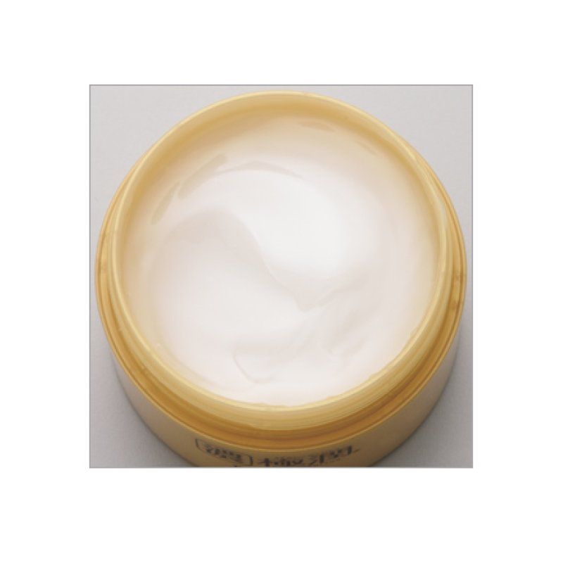 Hada Labo Gokujyun Perfect Gel 100g