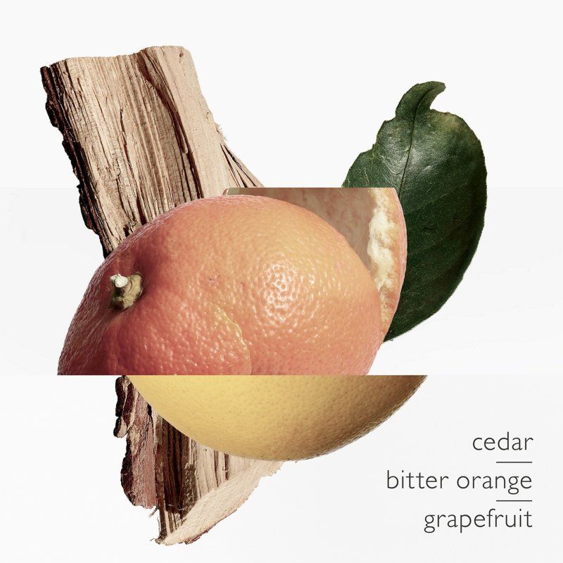 Herms Terre De Hermes Eau Tres Fraiche Eau De Toilette Spray 200ml