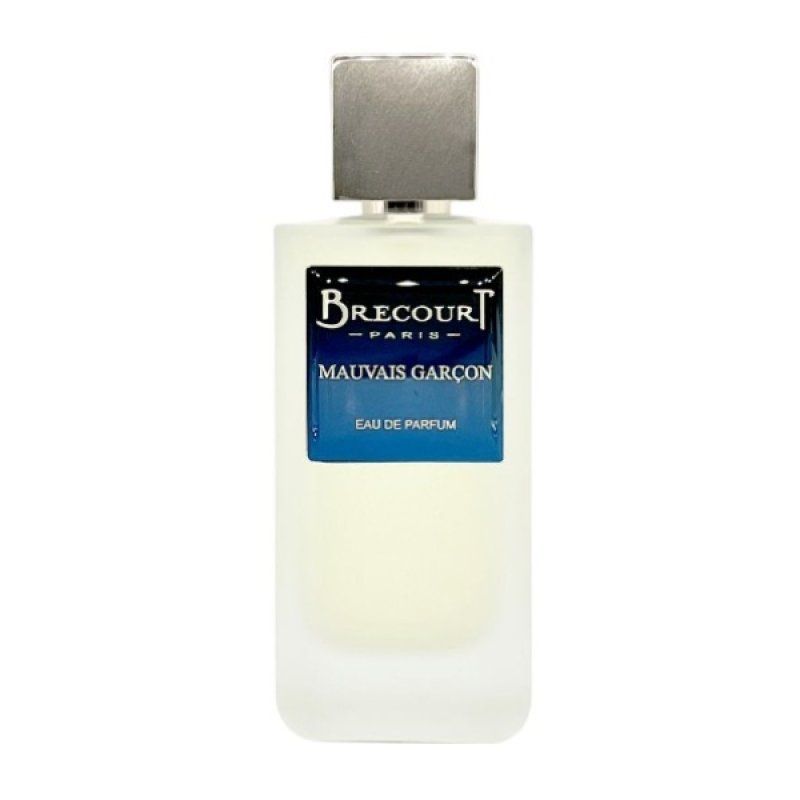 Brecourt Mauvais Garcon Eau De Parfum 100 Ml For Men