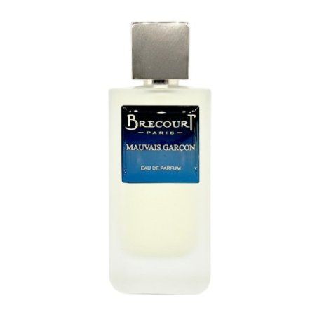Brecourt Mauvais Garcon Eau De Parfum 100 Ml For Men