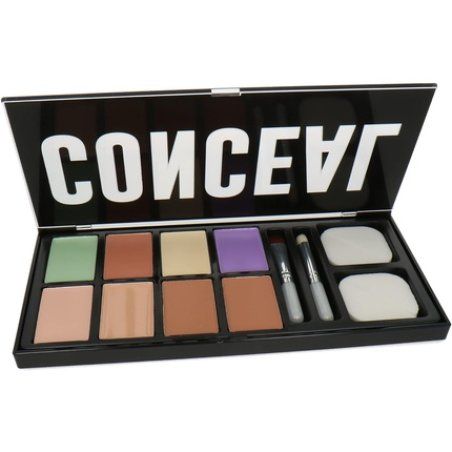 Profusion Cosmetics Absolute Conceal Kit 24g - Multicolor