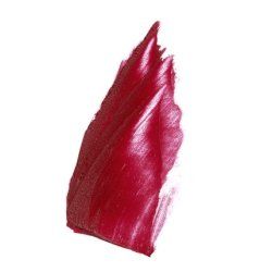 Maybelline New York Color Sensational Lipstick Aminata Belli x Limited Edition 4.4g