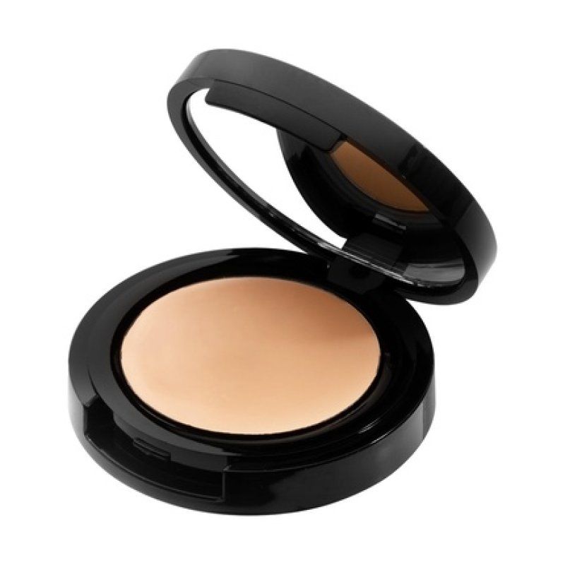 Radiant Professional High Coverage Creamy Concealer Under Eye Concealer Maximum Coverage Creamy Non Oily Long Lasting