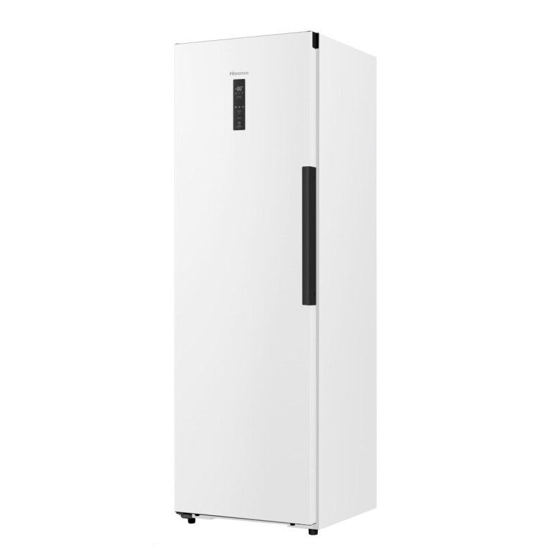 Congélateur armoire No-Frost FT3K310SEWE