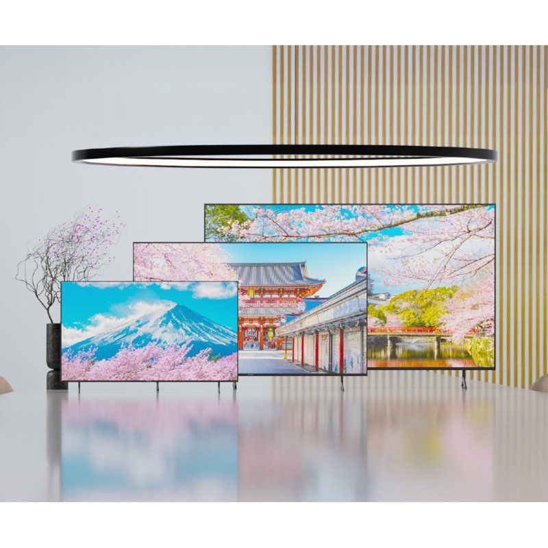 JAPANNEXT JN-IPS650UHD60F écran plat de PC 165,1 cm (65") 3840 x 2160 pixels 4K Ultra HD LCD Noir