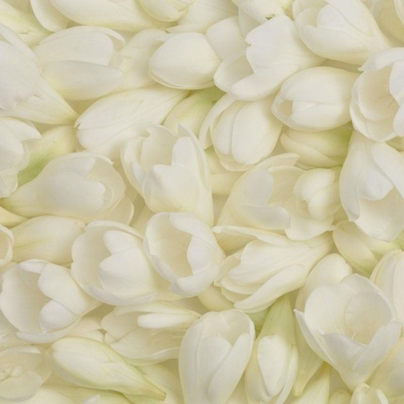 Avon Today Eau De Parfum 50ml Romantic Floral Fragrance Longlasting Scent