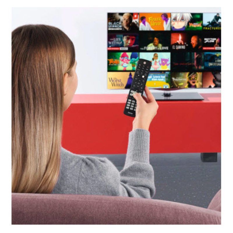 Hama 00221063 télécommande IR Wireless TV Appuyez sur les boutons