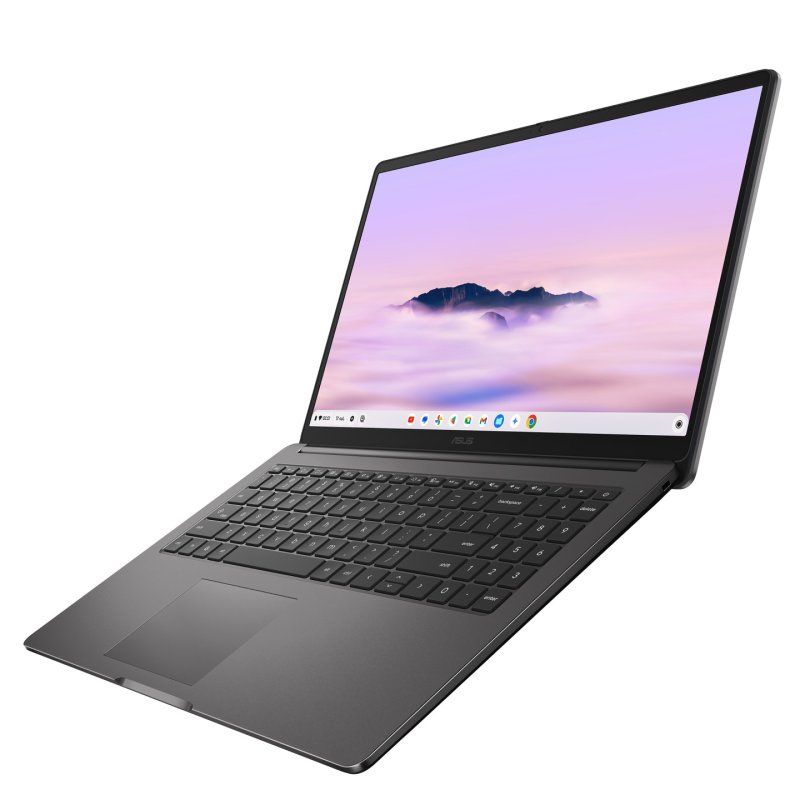 ASUS Chromebook CX1505CTA-S70154 Intel Core 3 N355 39,6 cm (15.6") Full HD 8 Go LPDDR5-SDRAM 256 Go eMMC Wi-Fi 6