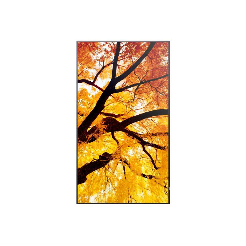 Sharp MultiSync PN-M752 189,2 cm (74.5") LED 550 cd/m² 4K Ultra HD Noir 24/7