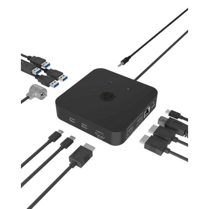 NB Acc ICY BOX Docking DK4090-C 12in1 USB-C