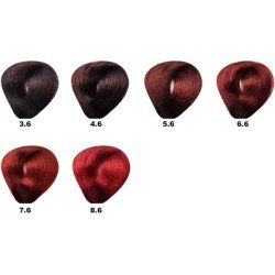 Bes Hifi Hair Color with Vegetable Liposomes 56 Deep Red Light Brown