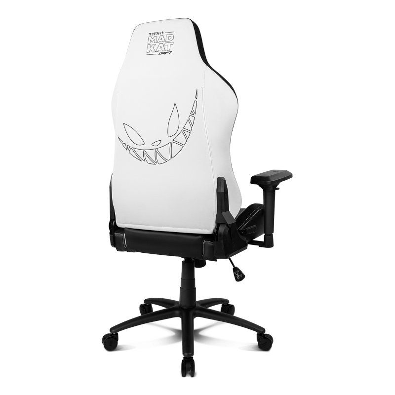 DRIFT DR250RUW Siège pour jeu vidéo Fauteuil de gaming Siège rembourré Noir, Blanc