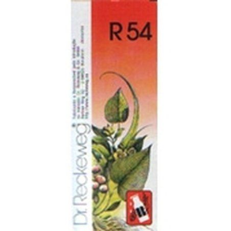 Dr. Reckeweg R54 - Parapharmacy Product
