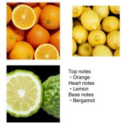 Yodeyma Men's Perfume Blue Sand 50ml