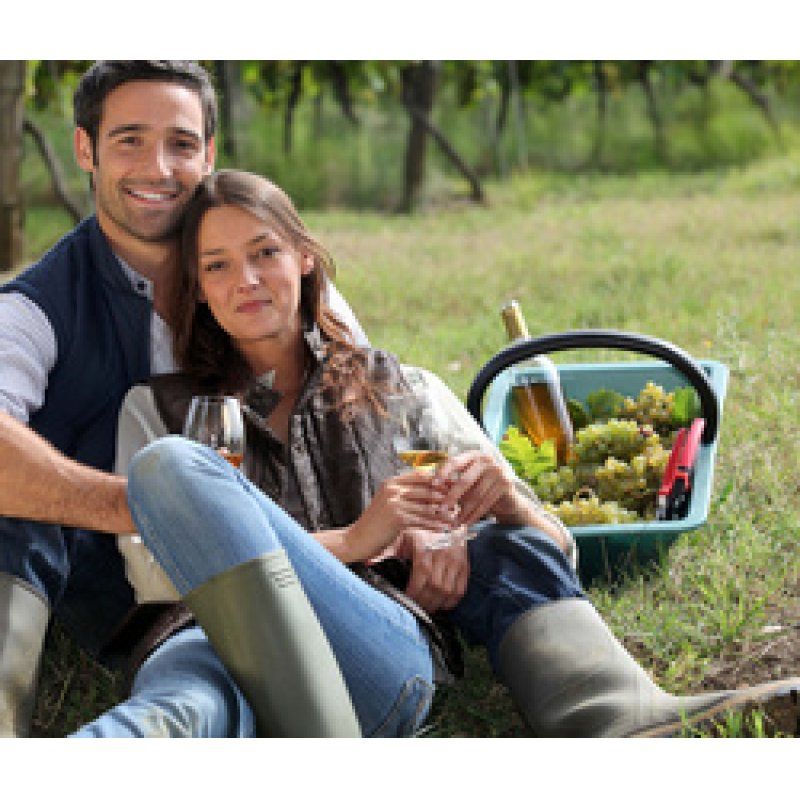 Restposten: EDA Sammelkorb mit Griff, 18 Liter, Kunststoff,