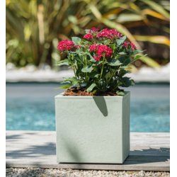 EDA Bac à plantes BASALT UP, cubique, 295 mm, vert amande