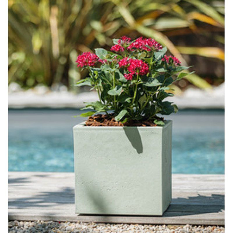 EDA Bac à plantes BASALT UP, cubique, 295 mm, vert amande