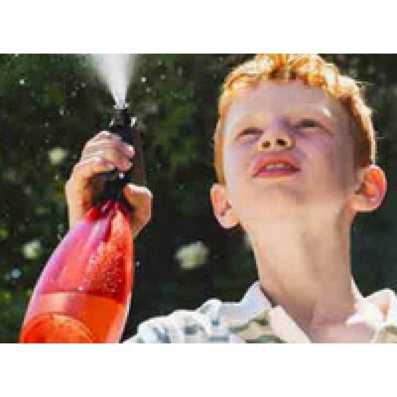 EDA Blumensprüher FUCHSIA, 0,7 Liter, transparent-blau